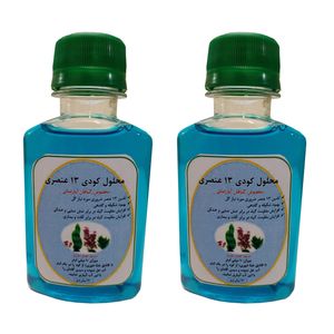 کود مایع محرک رشد مدل 13 حجم 120 میلی لیتر بسته دو عددی